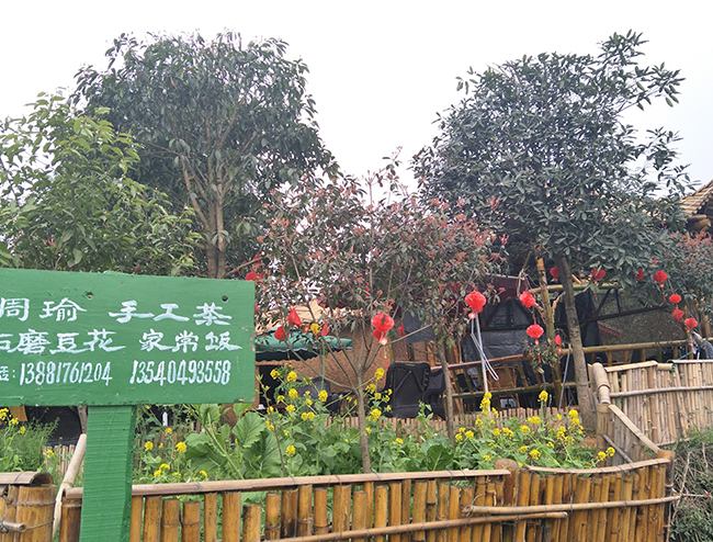 周瑜家常菜