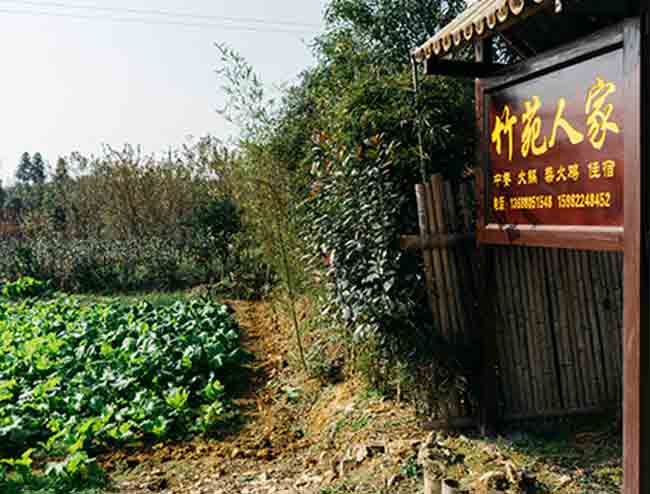 山涧竹苑